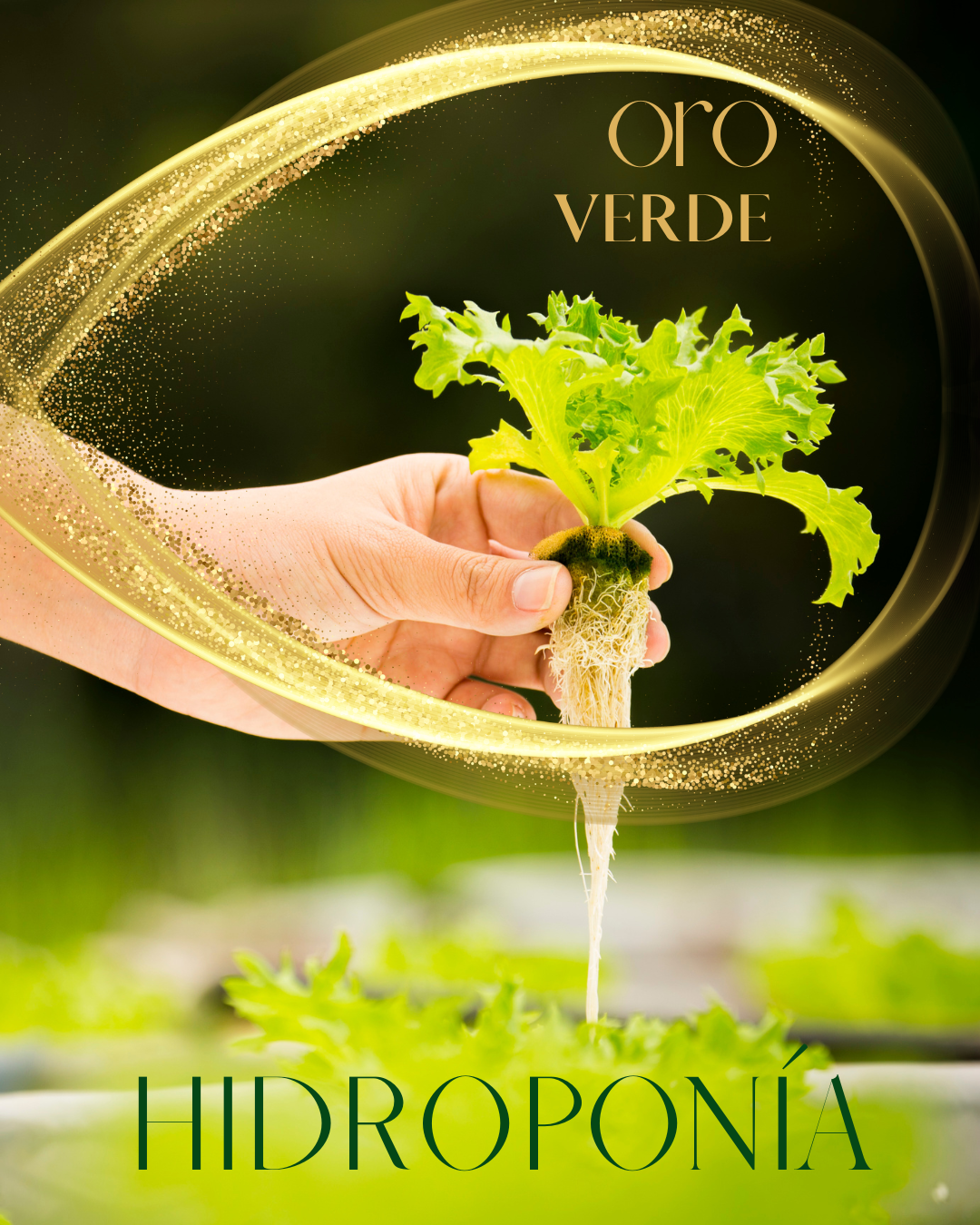 oro-verde-hidroponia-bahiablanca